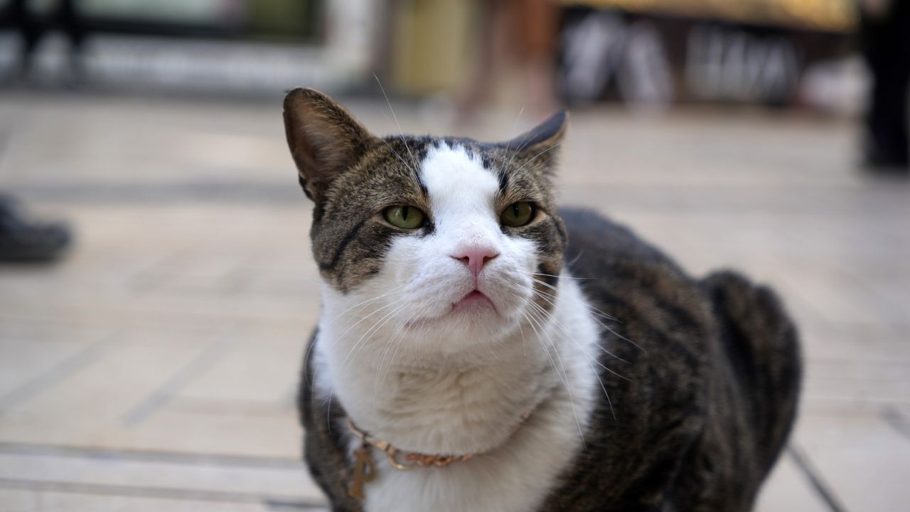 Bir Başlık Ekleyin (1)-848