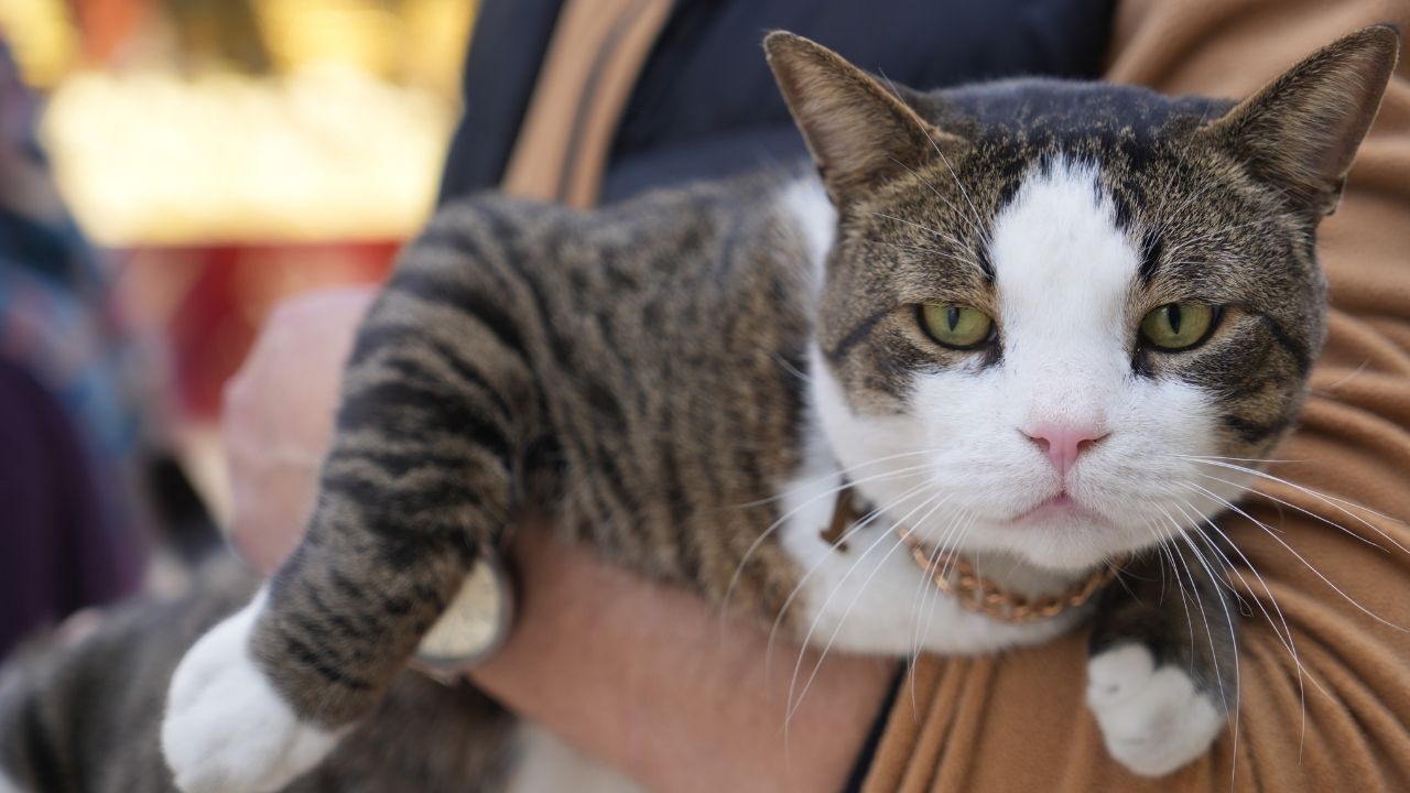 Bir Başlık Ekleyin (2)-623