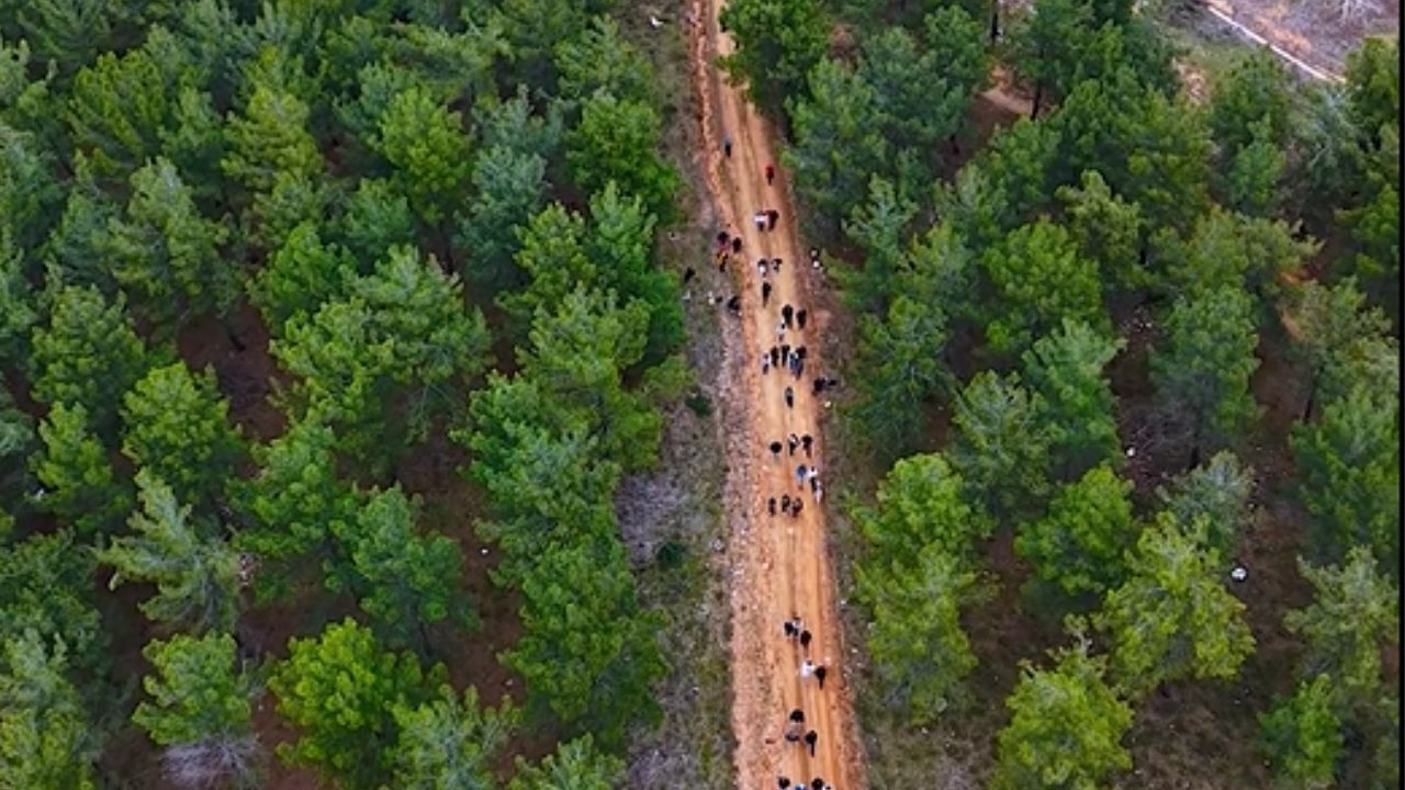 Bir Başlık Ekleyin 2026 04 15T111443.629