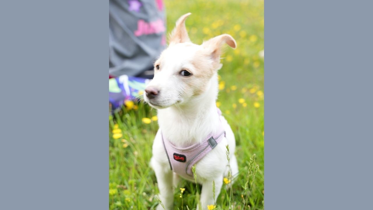 Bir Başlık Ekleyin 2026 04 15T111809.619