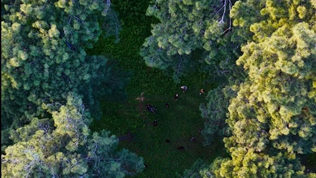 Bir Başlık Ekleyin 2026 04 15T111948.663