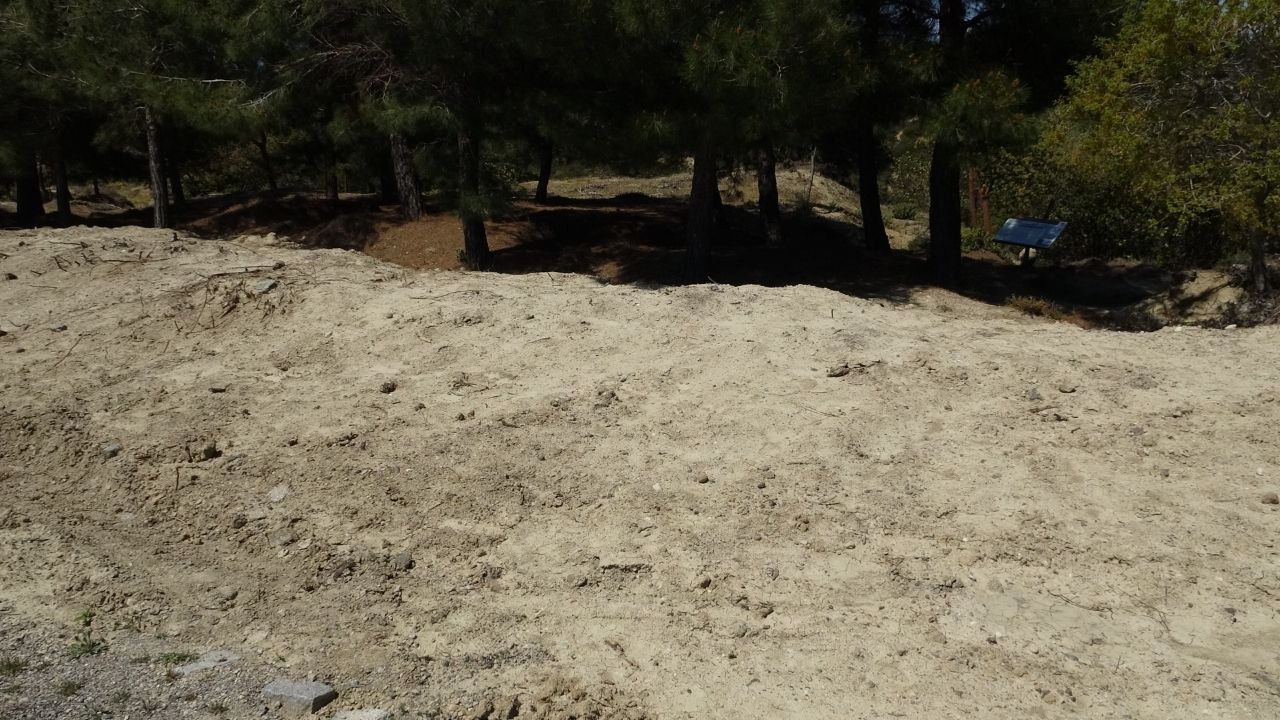 Bir Başlık Ekleyin (4)-381