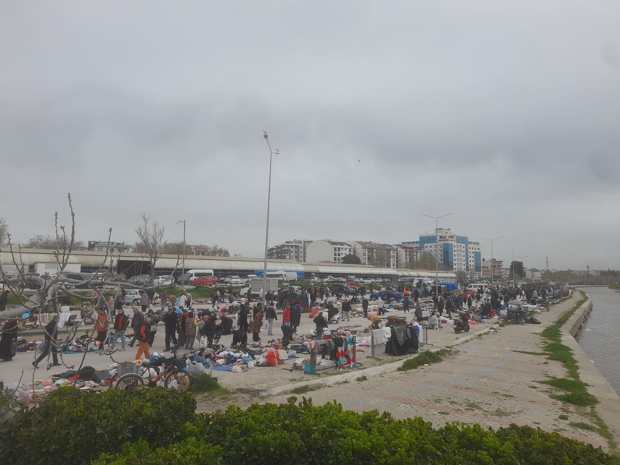 C50D083F 3249 404F Bb26 B1E0172B4102