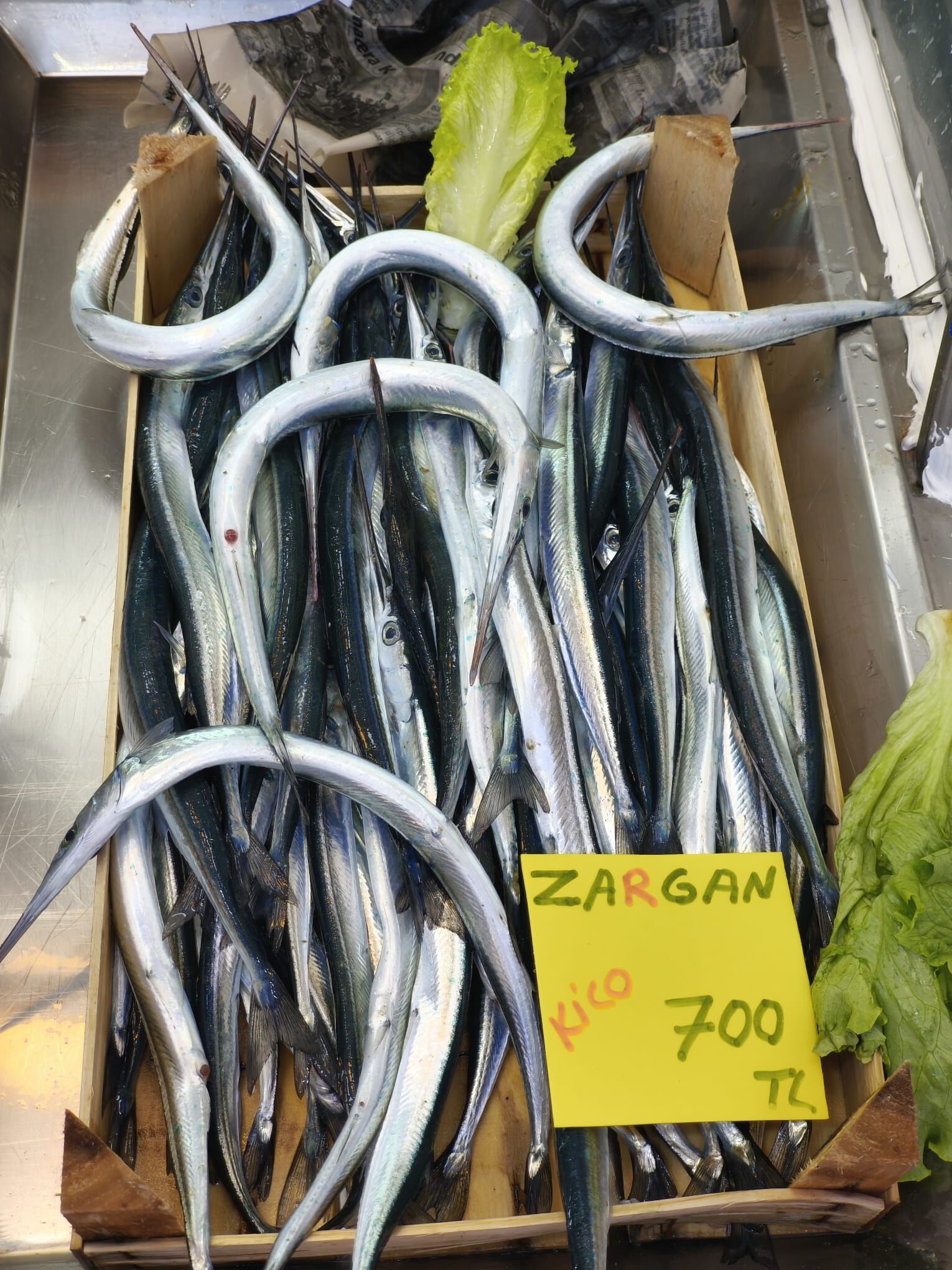 C661D28E B329 4Be6 9D79 Eb66B2Ae4F26