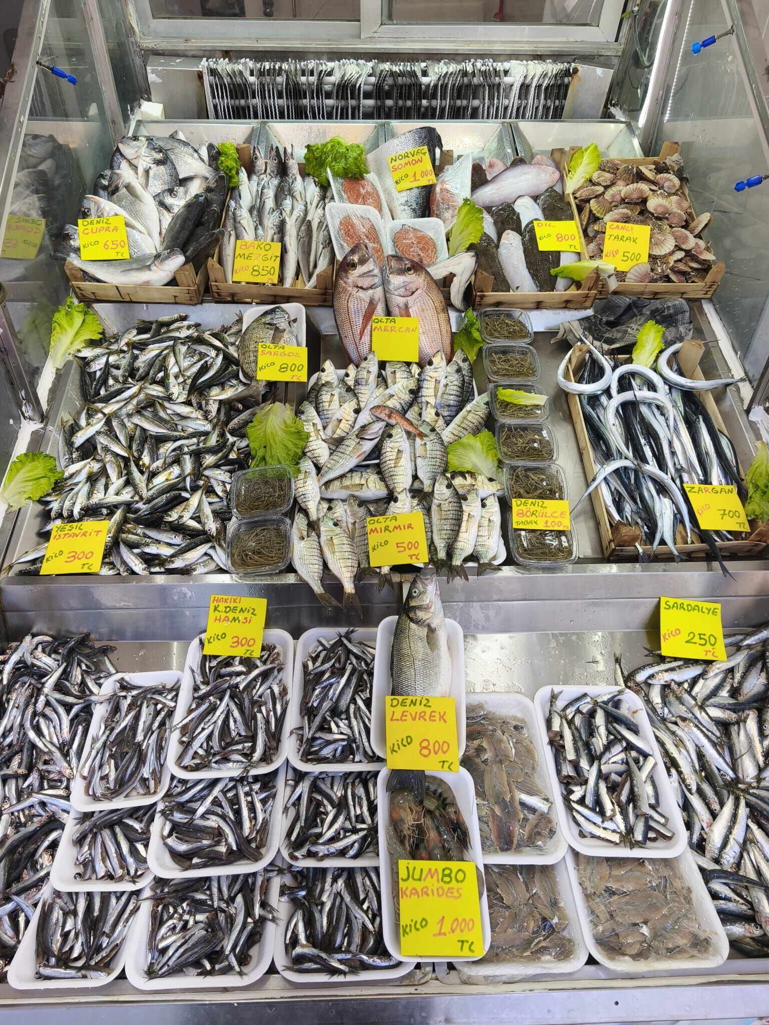 E7C3C8E9 D42C 4322 9D7D A6Ab4B019386