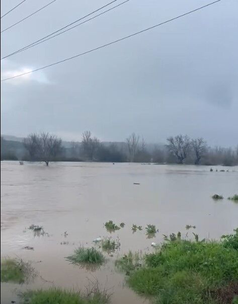 Ekran Görüntüsü 2026 04 02 091915