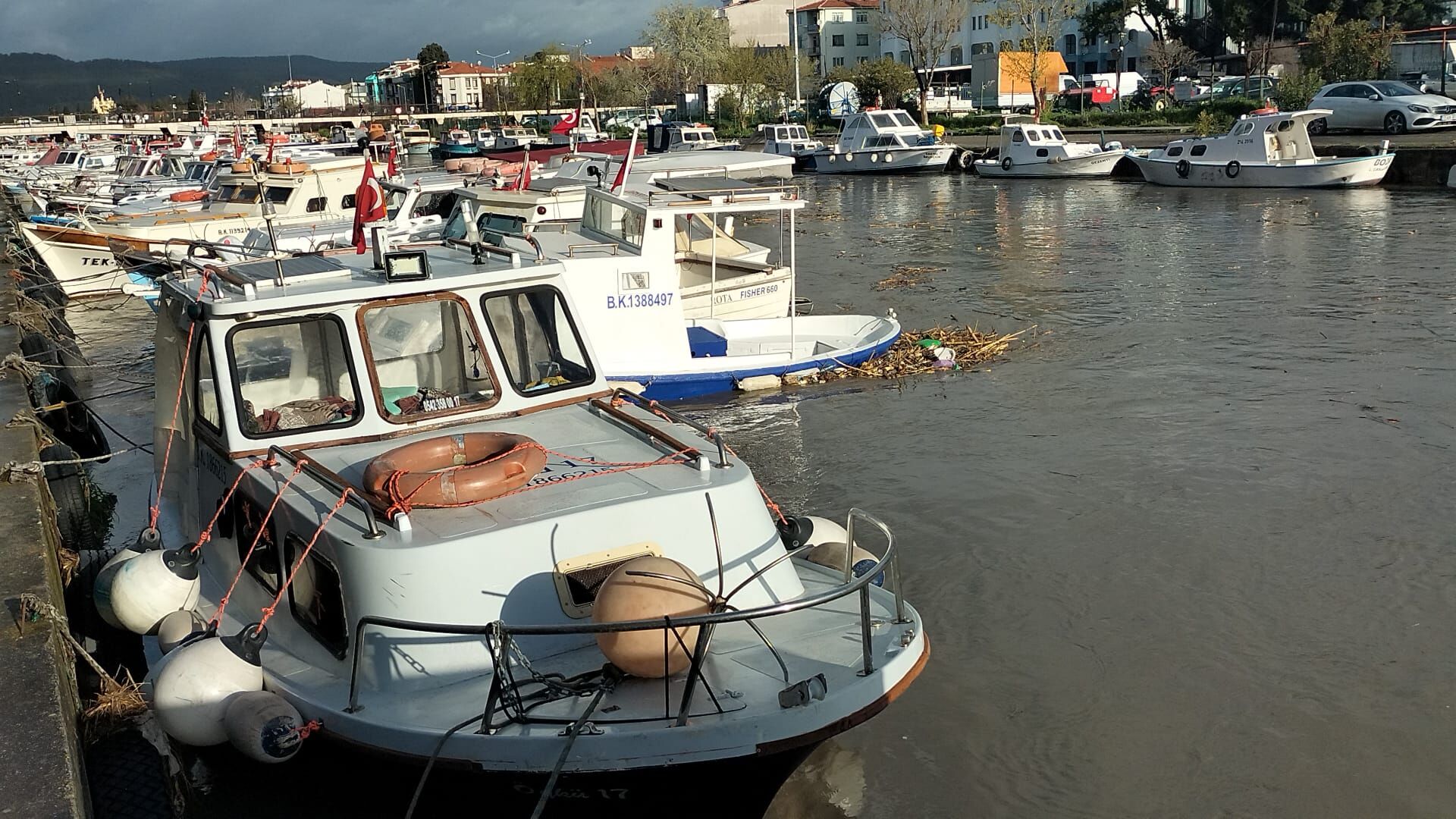 F51Cc357 Bc01 4F97 81D6 4032F39A1Bb0-1