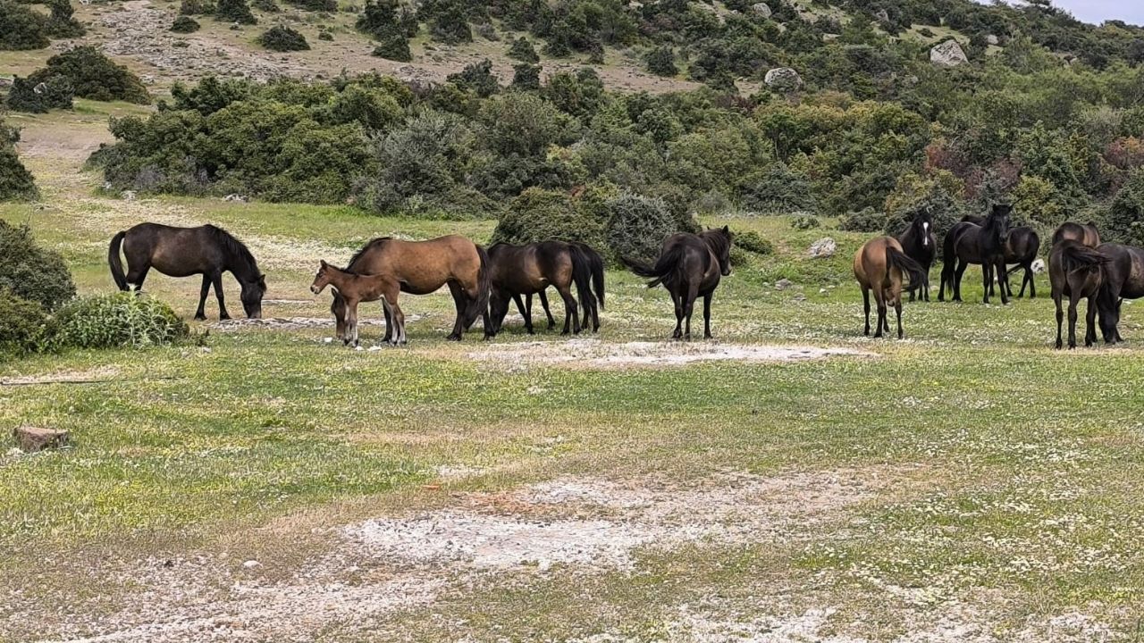 Bir Başlık Ekleyin (2)-379
