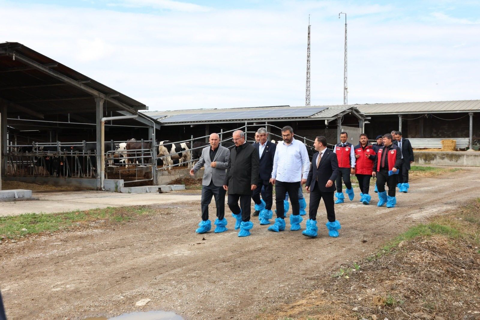 Çanakkale Kurban Bayramı Kurban Kesim Alanı Denetim