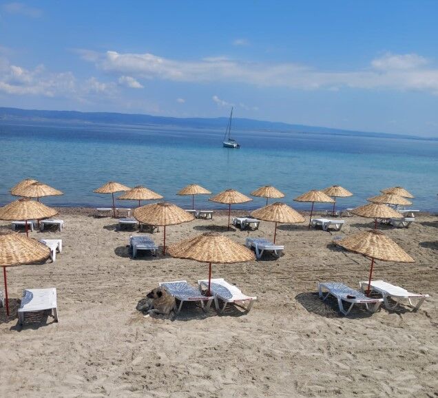 Ekran Görüntüsü 2026 05 26 161620