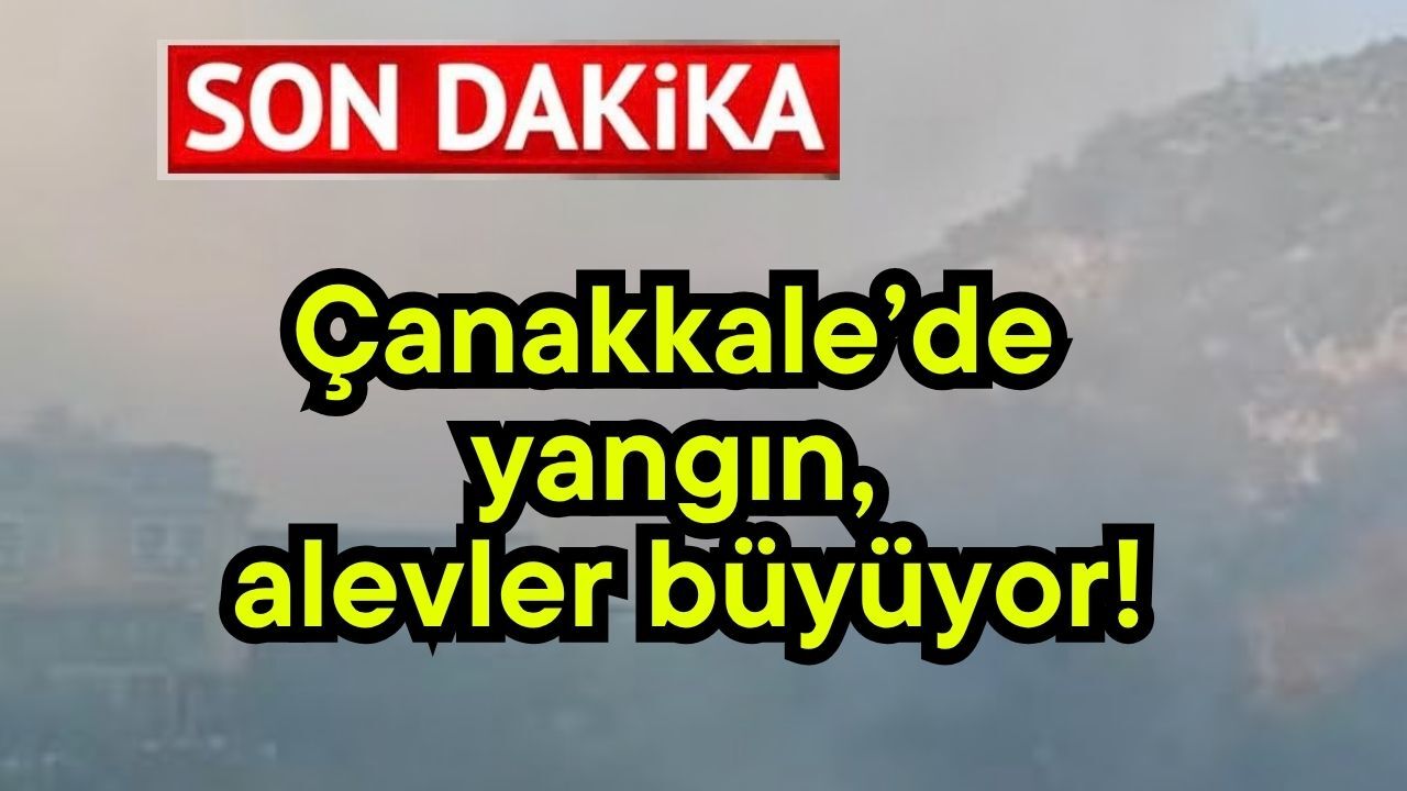 Çanakkale’de yangın, alevler büyüyor!