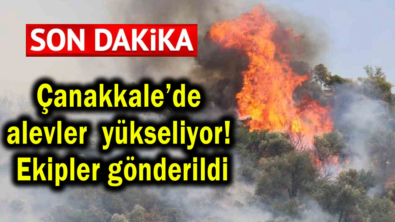 Çanakkale’de alevler yükseliyor! Ekipler gönderildi