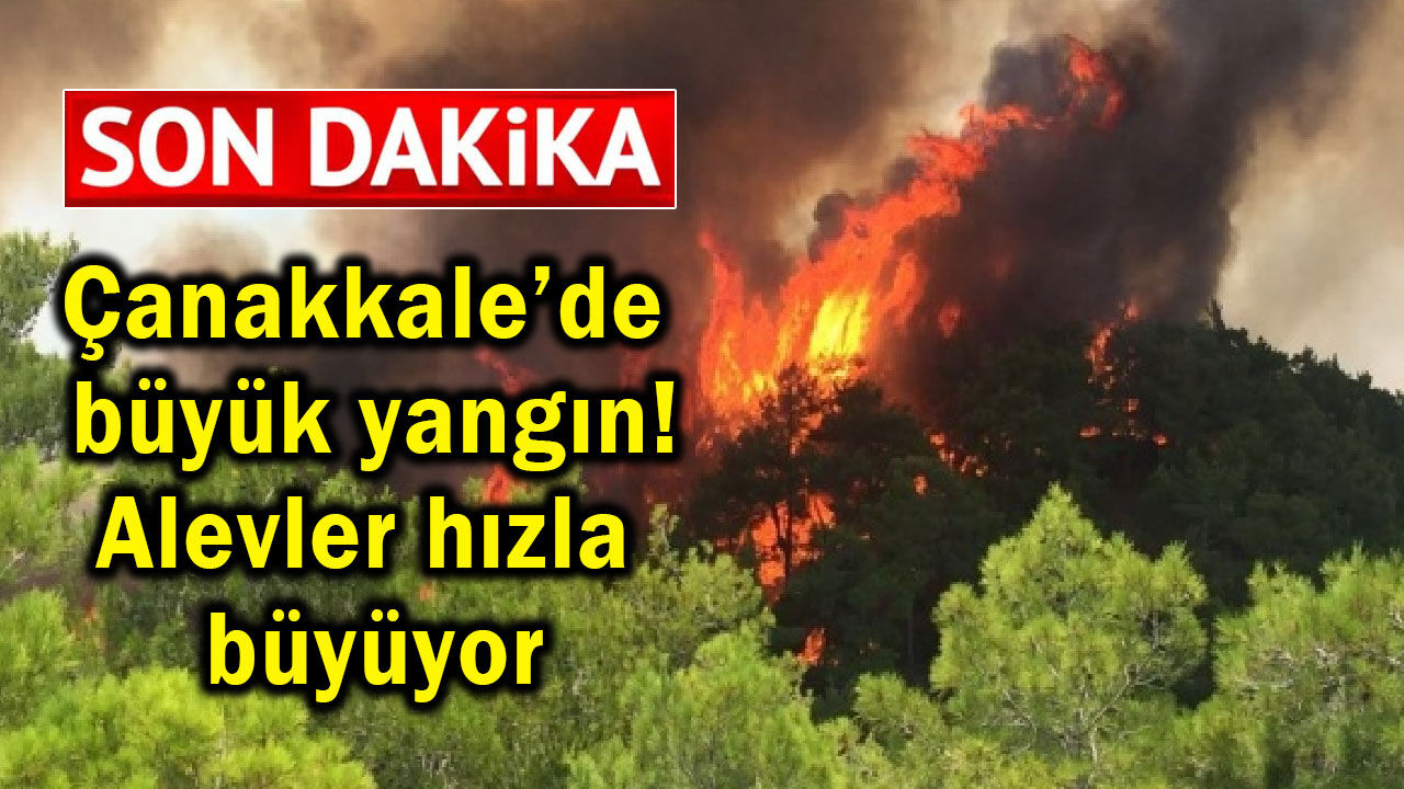 Çanakkale'de büyük yangın! Alevler hızla büyüyor