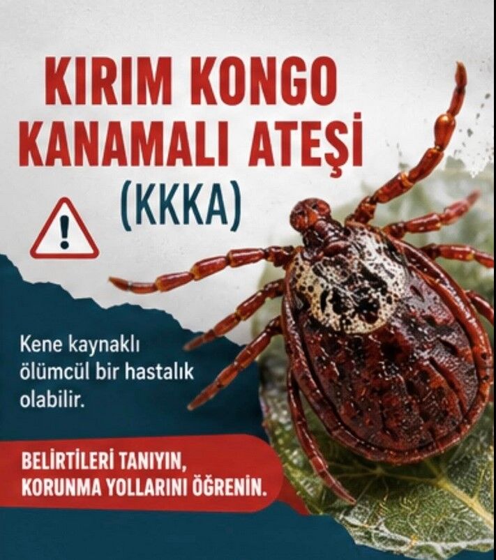 Ekran Görüntüsü 2026 06 11 102054
