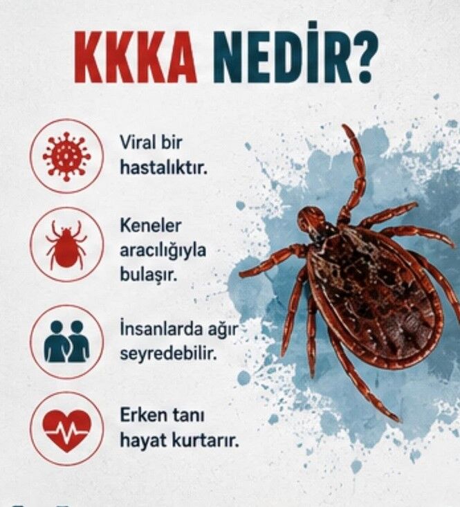 Ekran Görüntüsü 2026 06 11 102109