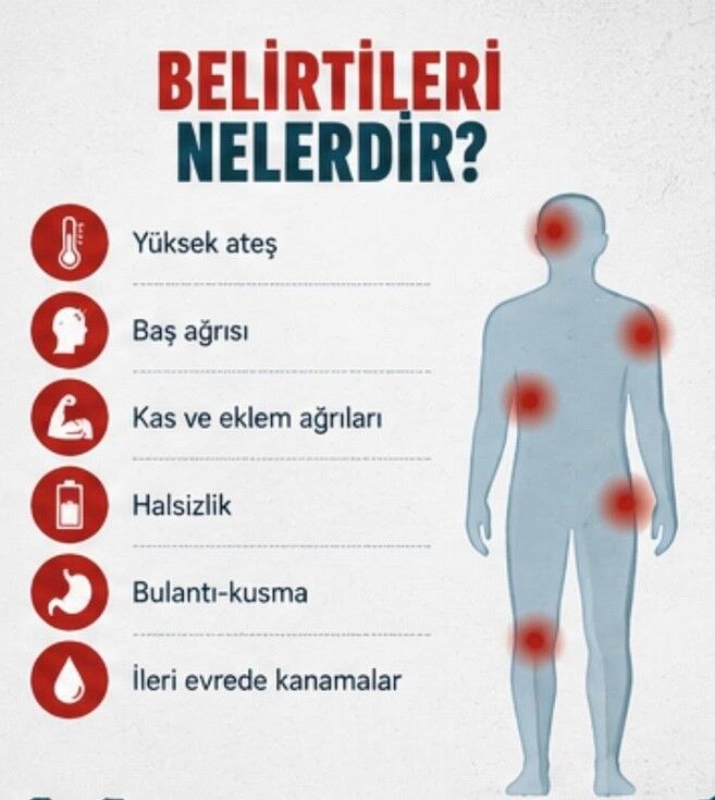 Ekran Görüntüsü 2026 06 11 102129