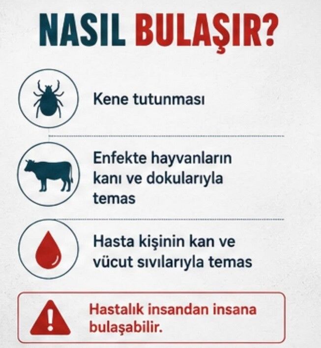 Ekran Görüntüsü 2026 06 11 102500