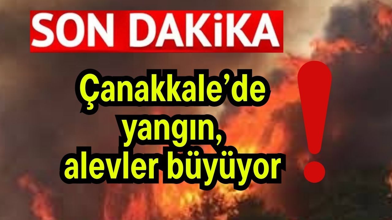 Çanakkale’de yangın, alevler büyüyor!