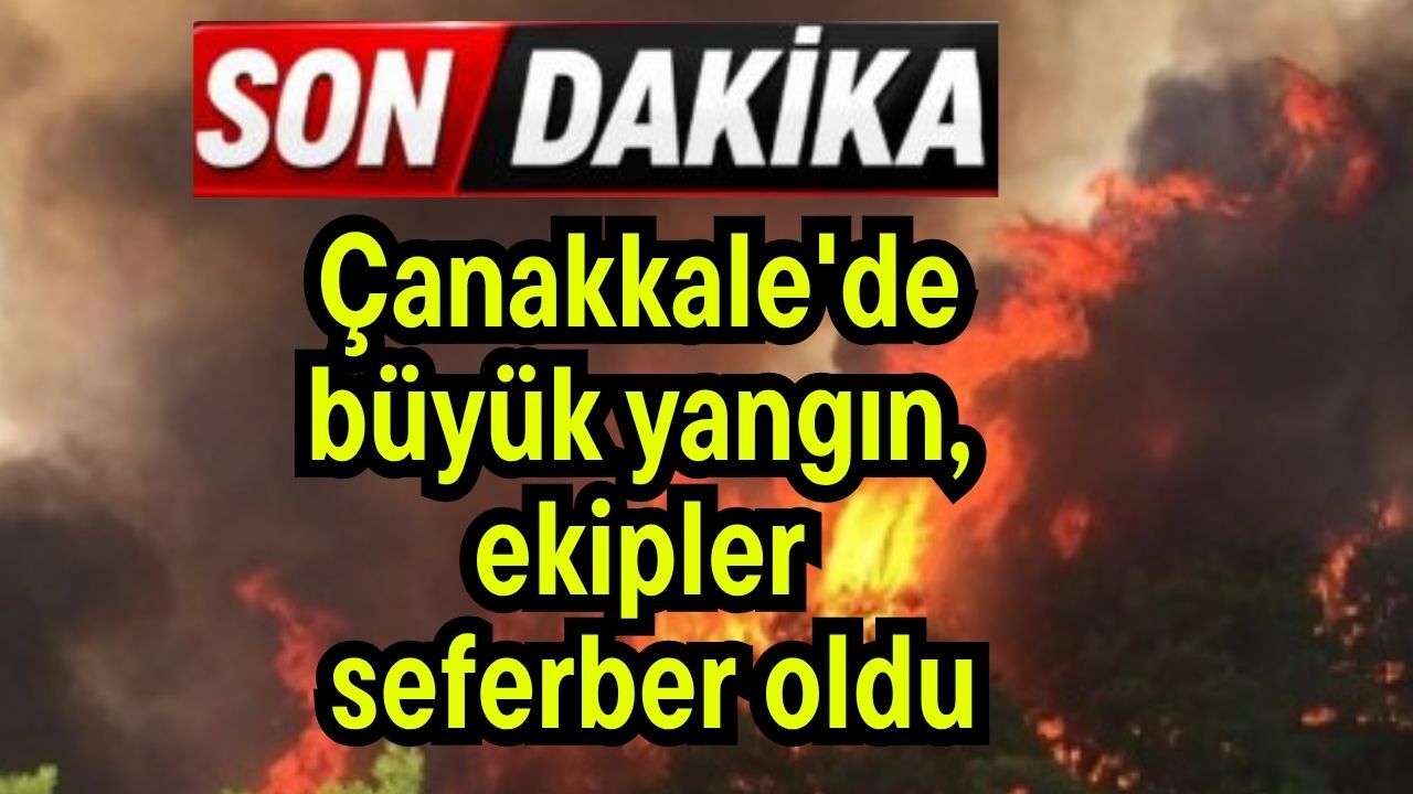 Çanakkale'de yangın, ekipler seferber oldu
