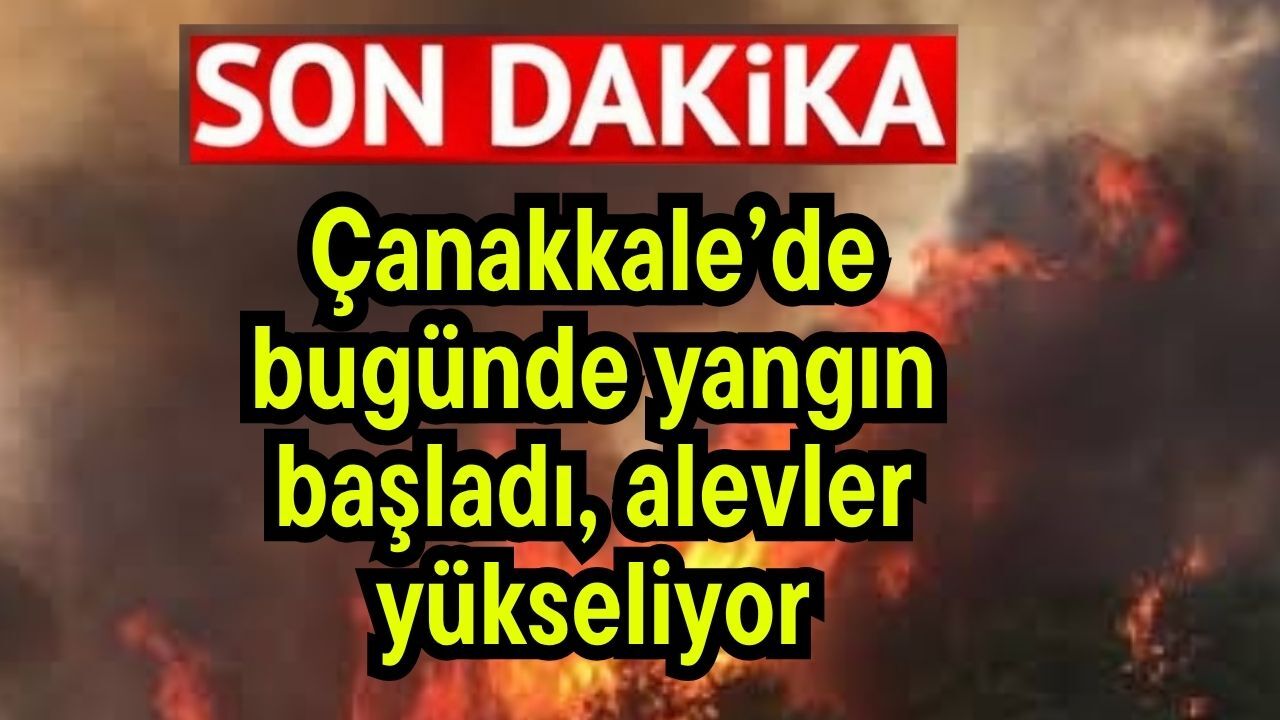 Çanakkale’de bugünde yangın başladı, alevler yükseliyor