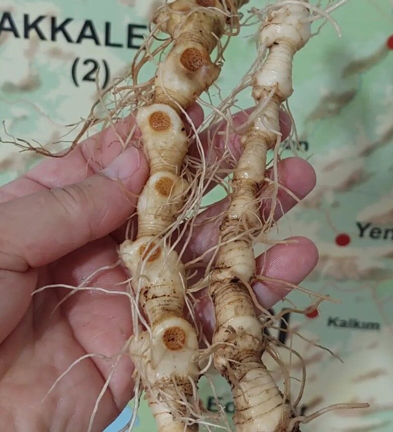 Ekran Görüntüsü 2026 07 17 130705