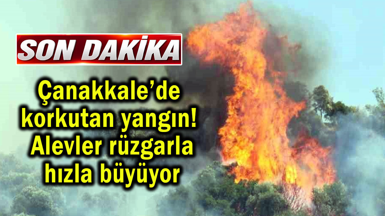 Çanakkale’de korkutan yangın! Alevler hızla büyüyor