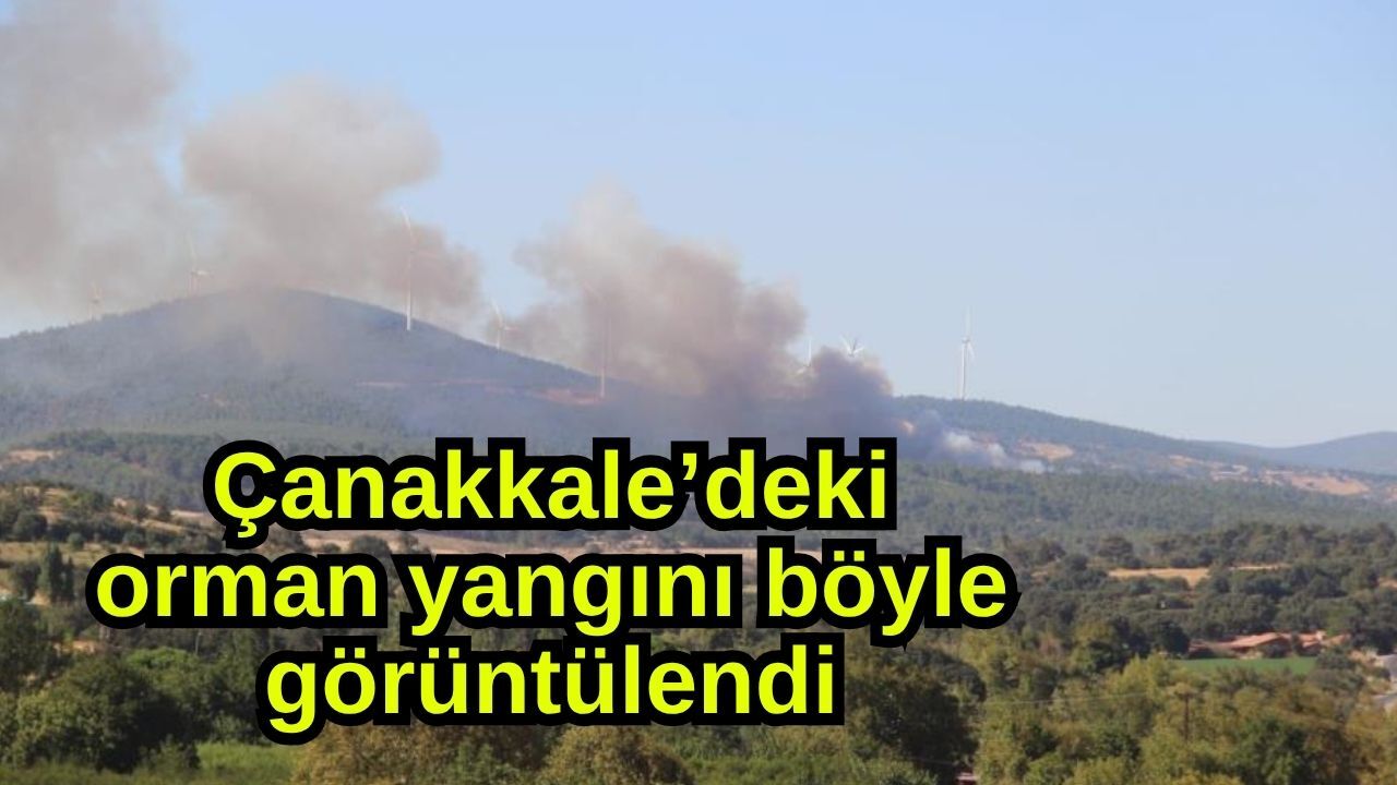 Çanakkale’deki orman yangını böyle görüntülendi (Video)