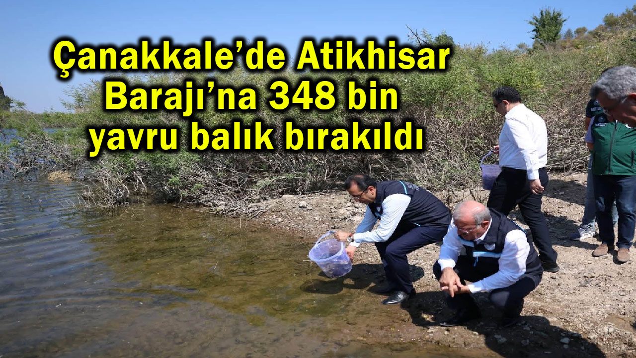Atikhisar Barajı’na 348 bin yavru balık bırakıldı
