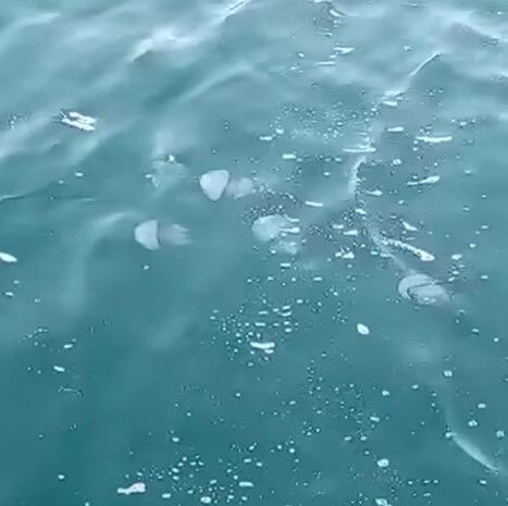 Ekran Görüntüsü 2026 08 23 112028