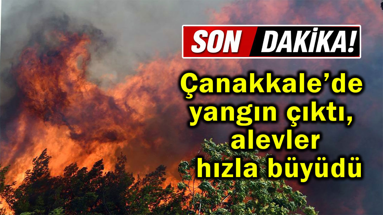 Çanakkale’de yangın çıktı, alevler hızla büyüdü