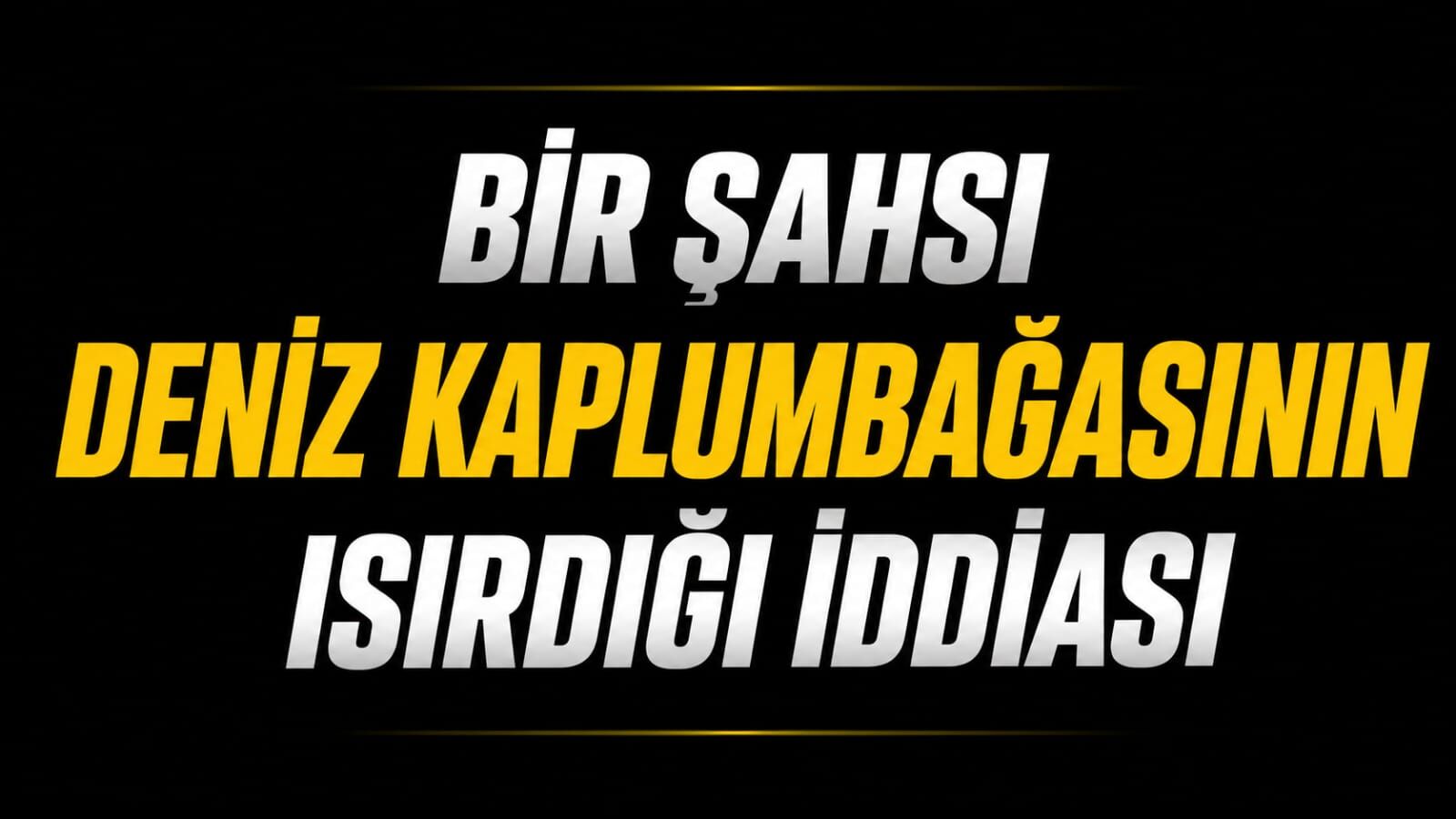 Bir şahsı deniz kaplumbağasının ısırdığı iddiası