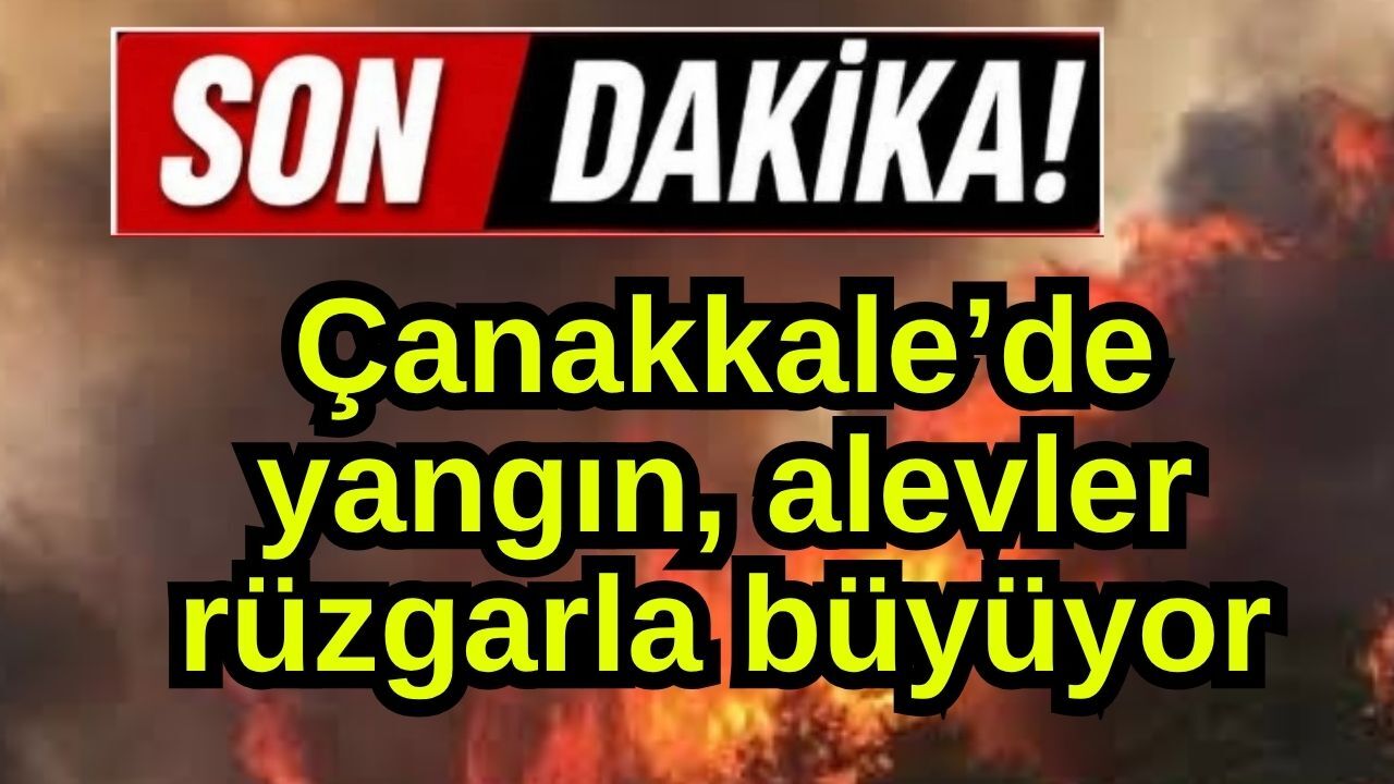 Çanakkale'de yangın! Alevler rüzgarla büyüyor...