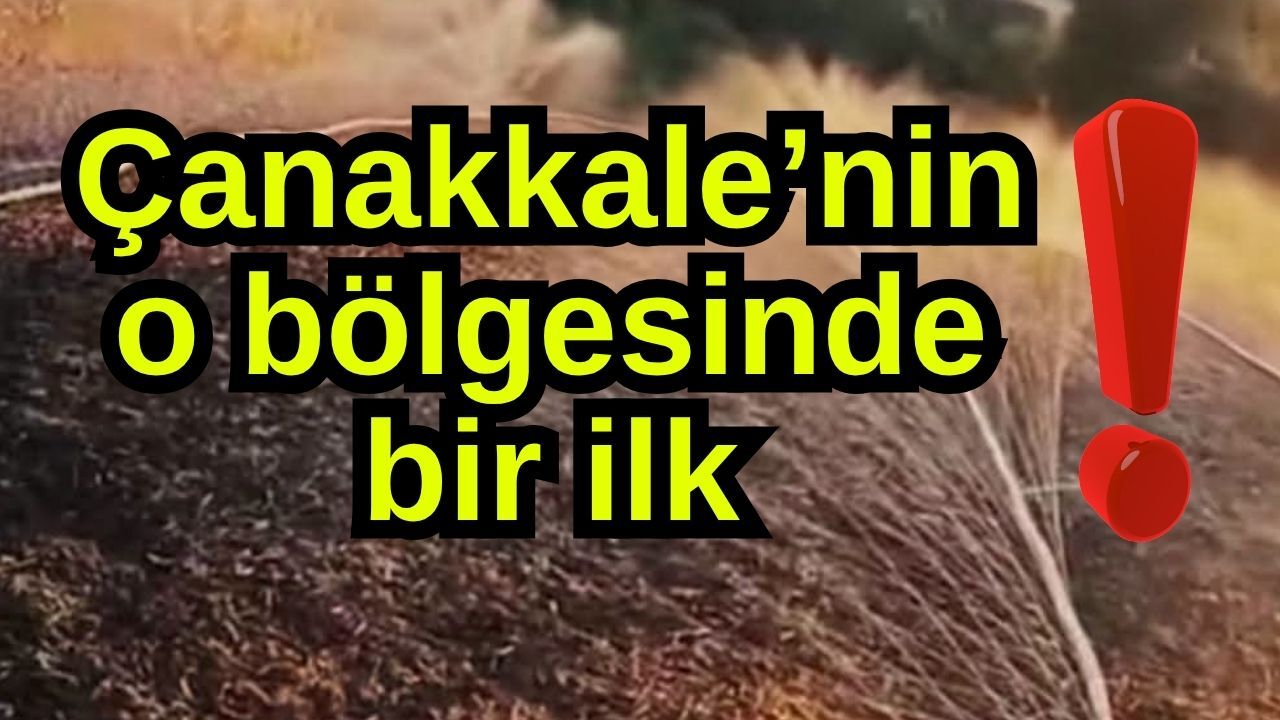 Çanakkale’nin o bölgesinde bir ilk!