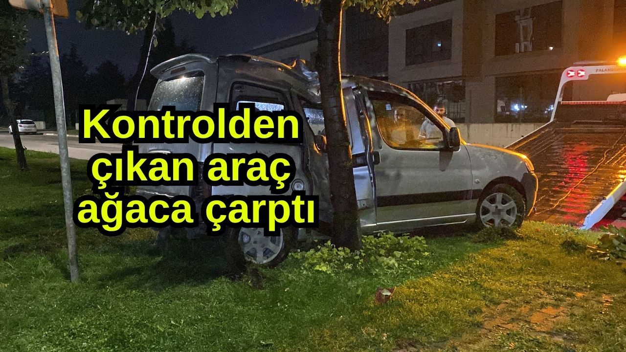 Kontrolden çıkan araç ağaca çarptı