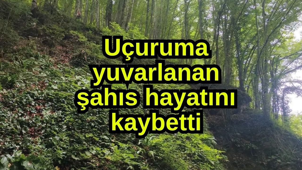 Uçuruma yuvarlanan şahıs hayatını kaybetti
