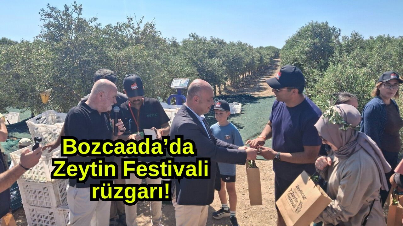 Bozcaada’da Zeytin Festivali rüzgarı