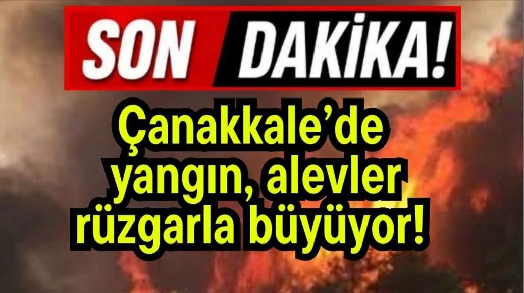 Çanakkale'de yangın! Alevler rüzgarla büyüyor