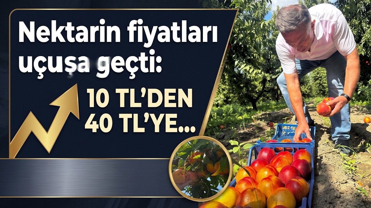 Nektarinde fiyatlar yükseldi (Video)