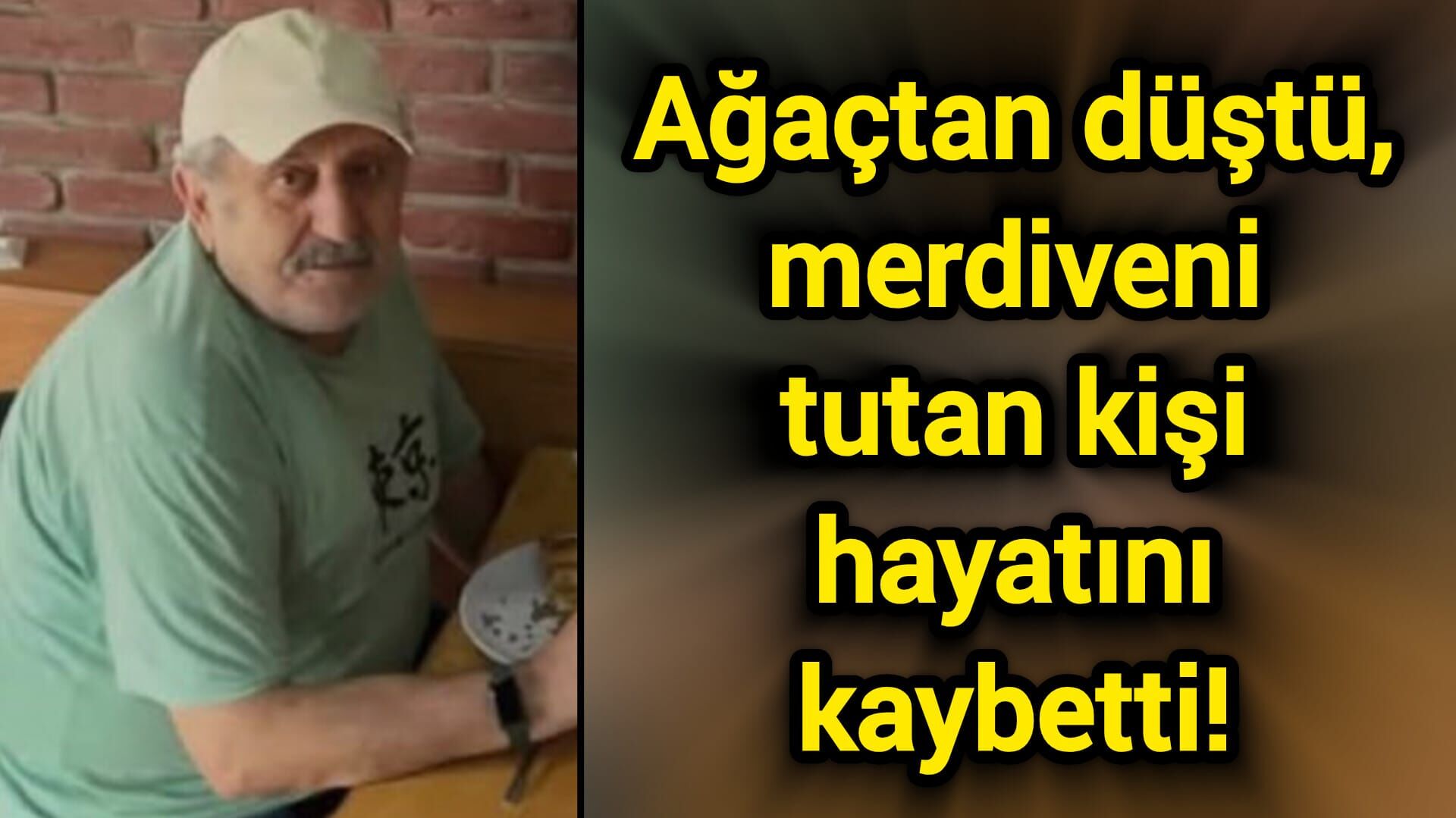 Ağaçtan düştü, merdiveni tutan kişi hayatını kaybetti!