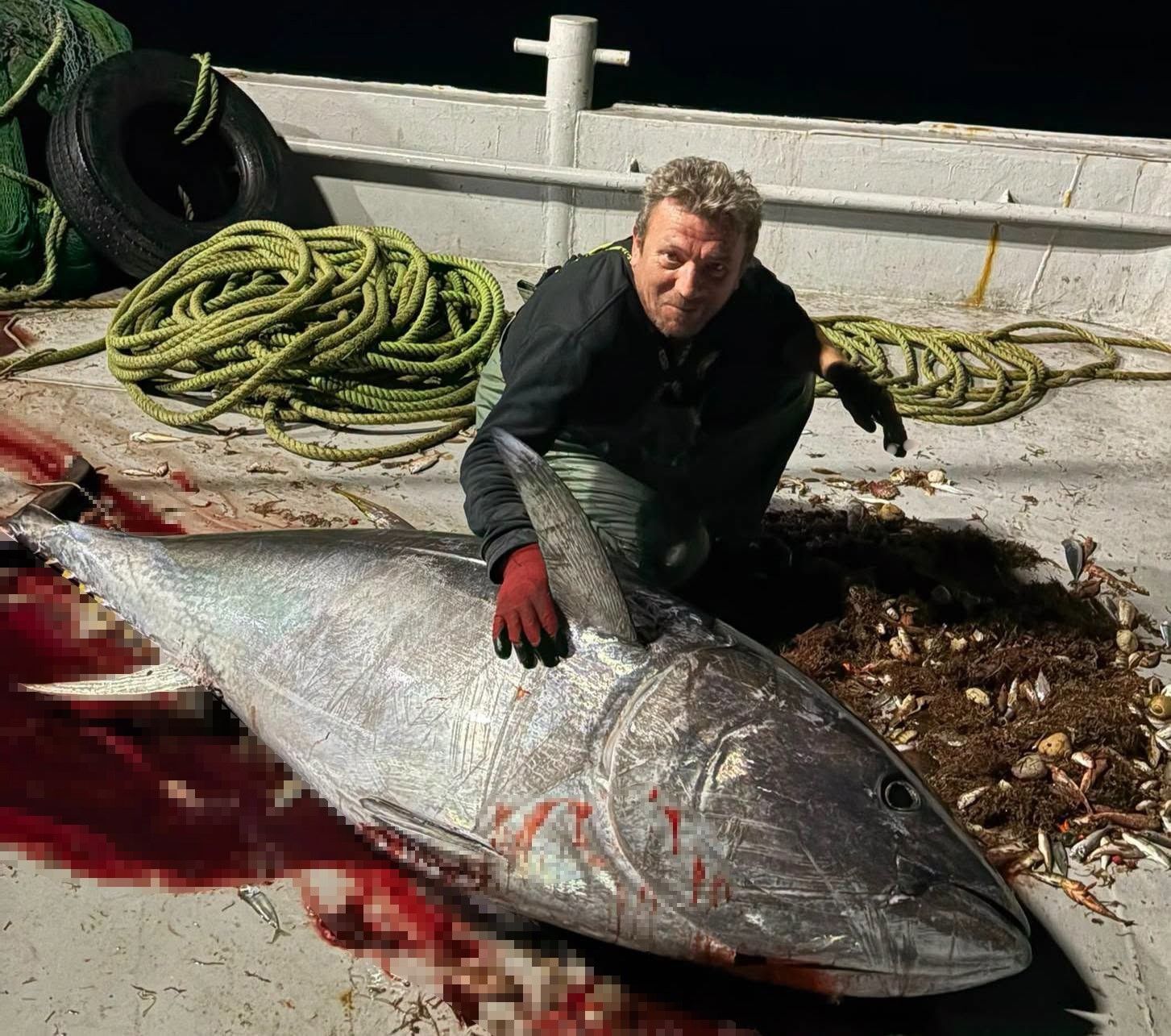 Saros Körfezi’nde 175 kiloluk orkinos yakaladı