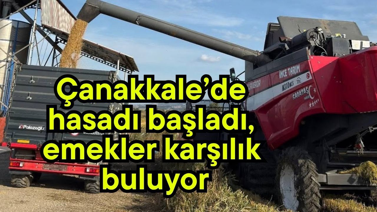Çanakkale’de hasadı başladı, emekler karşılık buluyor