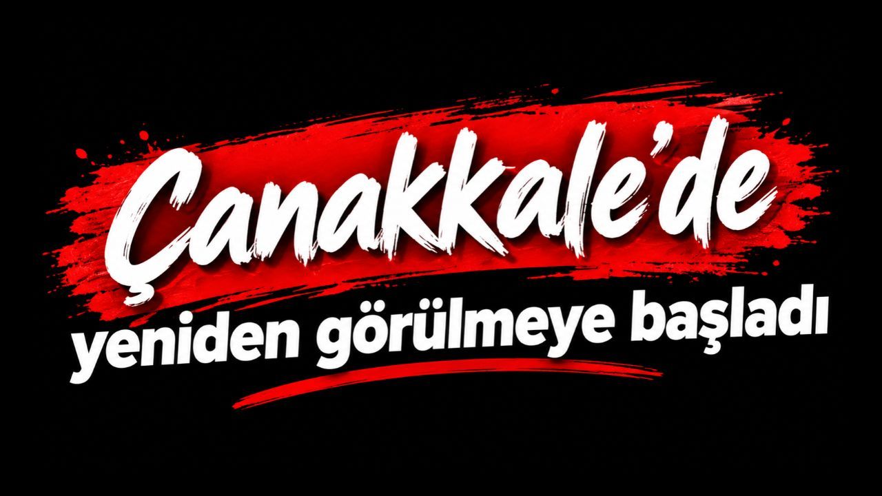 Çanakkale'de yeniden görülmeye başladı