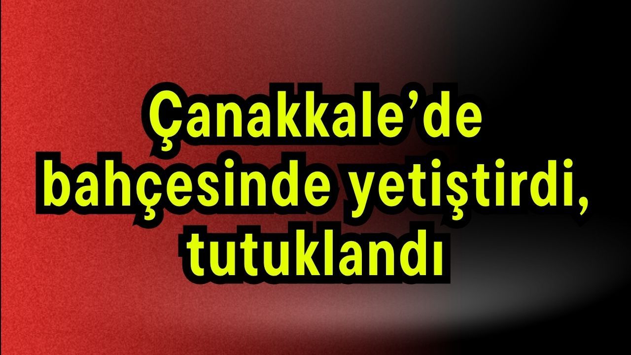 Çanakkale’de bahçesinde yetiştirdi, tutuklandı