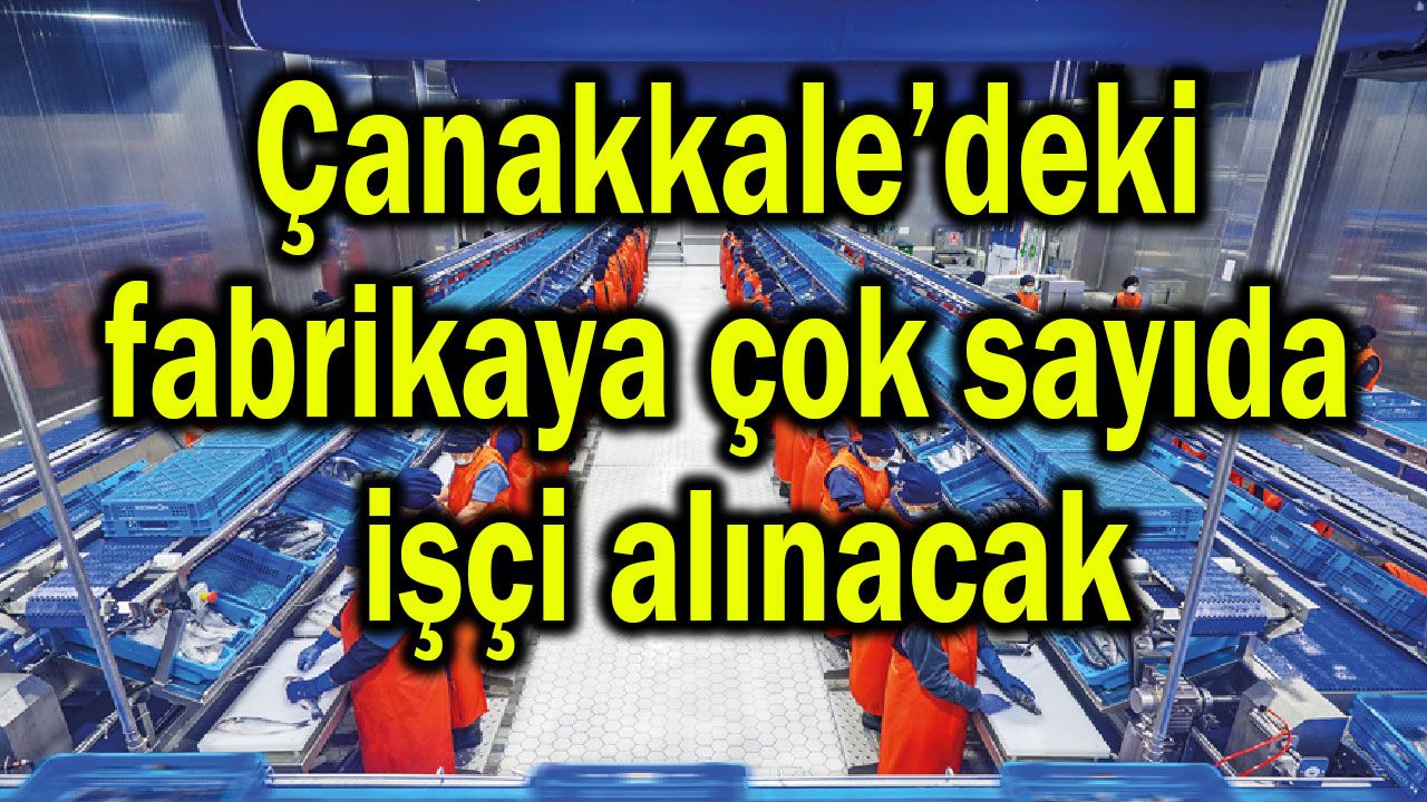Çanakkale’deki fabrikaya çok sayıda işçi alınacak