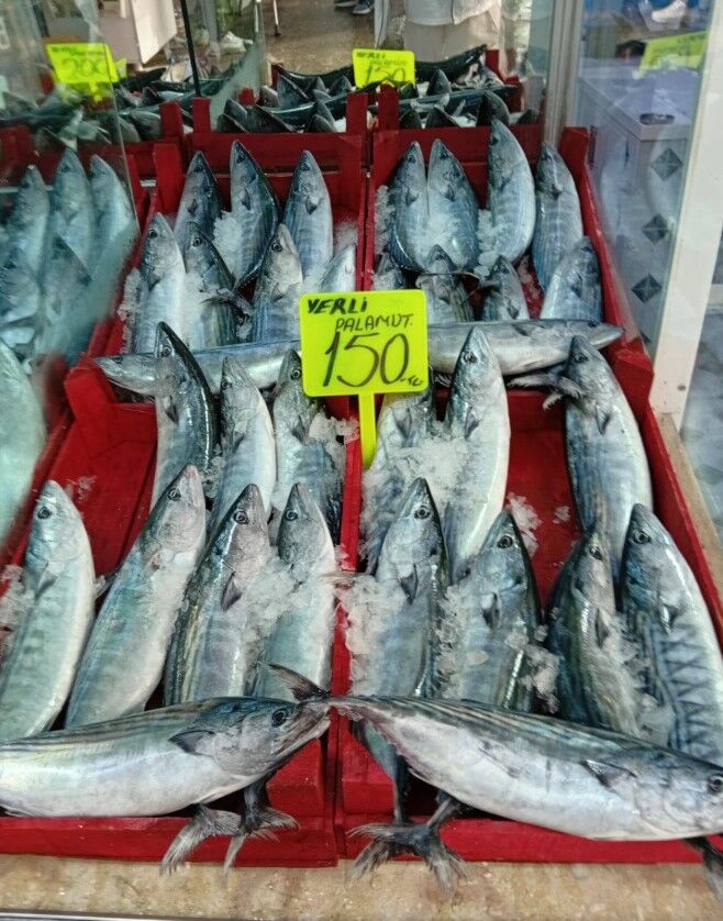 Ekran Görüntüsü 2026 10 06 113007