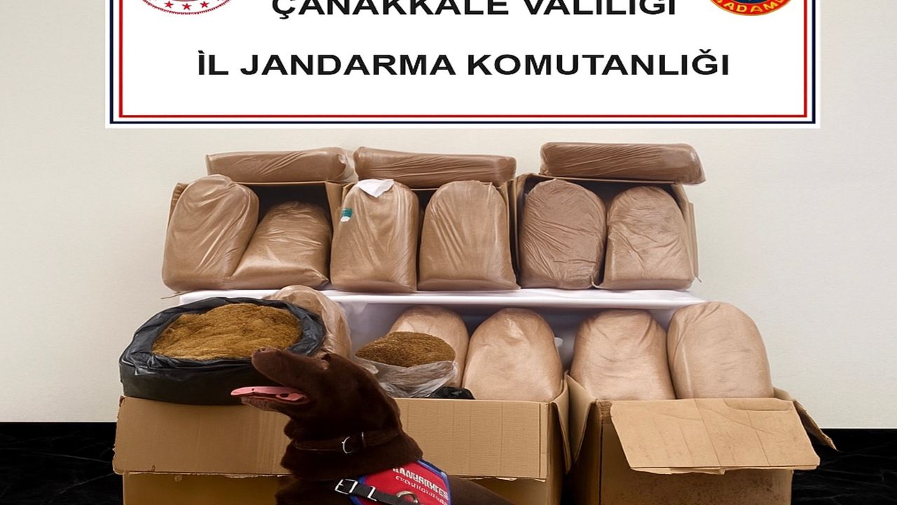 Çanakkale'de kaçakçılık operasyonu