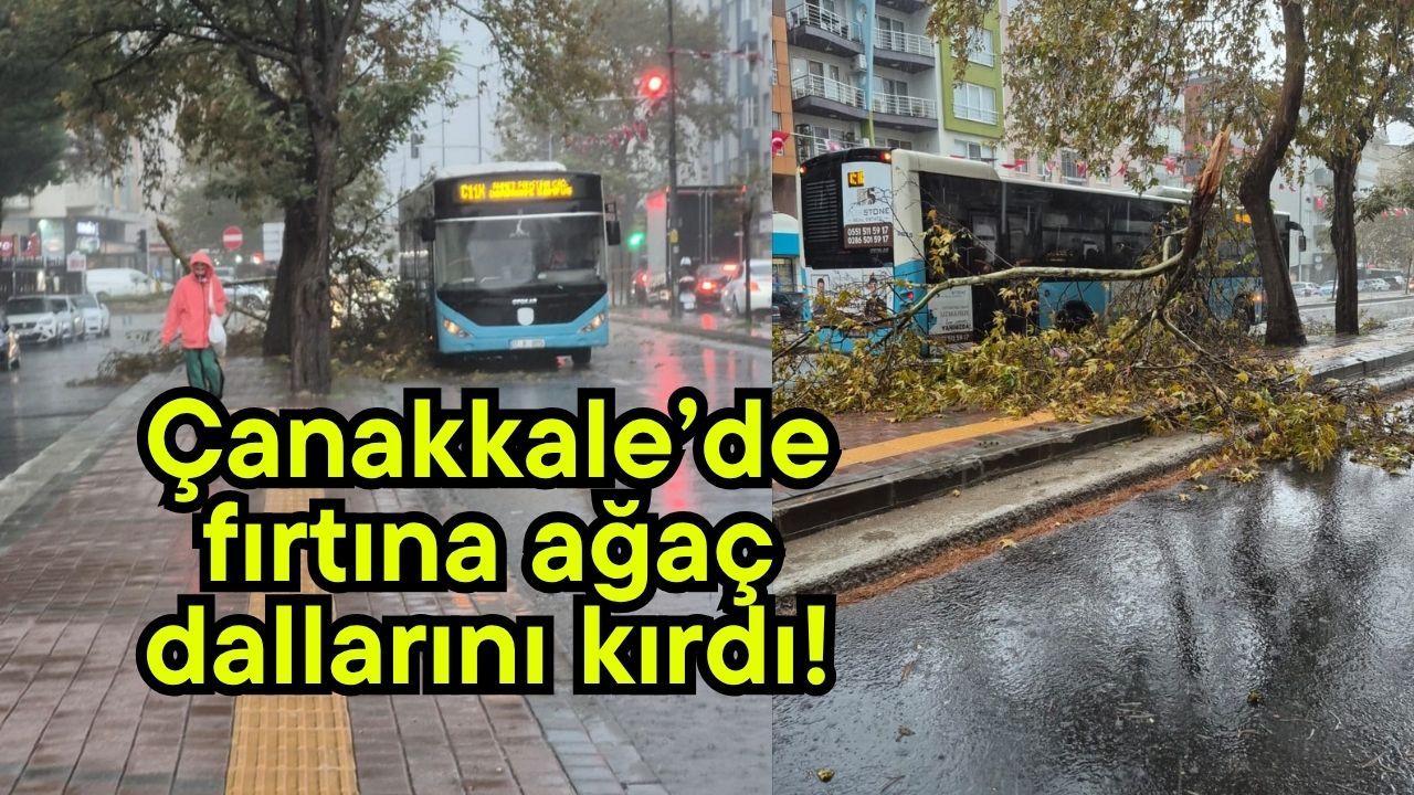 Çanakkale’de fırtına ağaç dallarını kırdı!