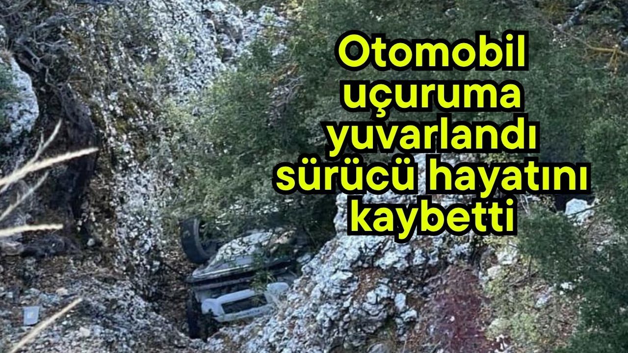 Otomobil uçuruma yuvarlandı, sürücü hayatını kaybetti