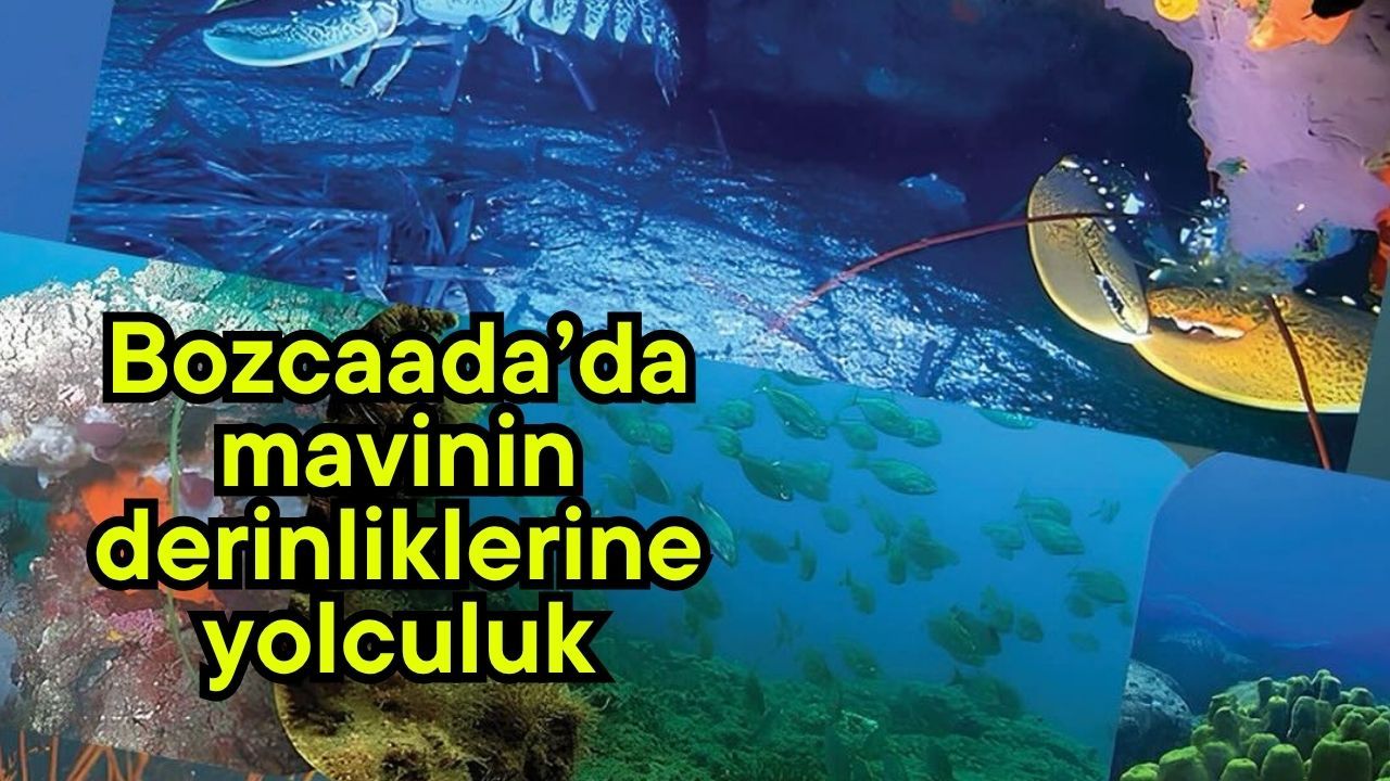 Bozcaada’da mavinin derinliklerine yolculuk