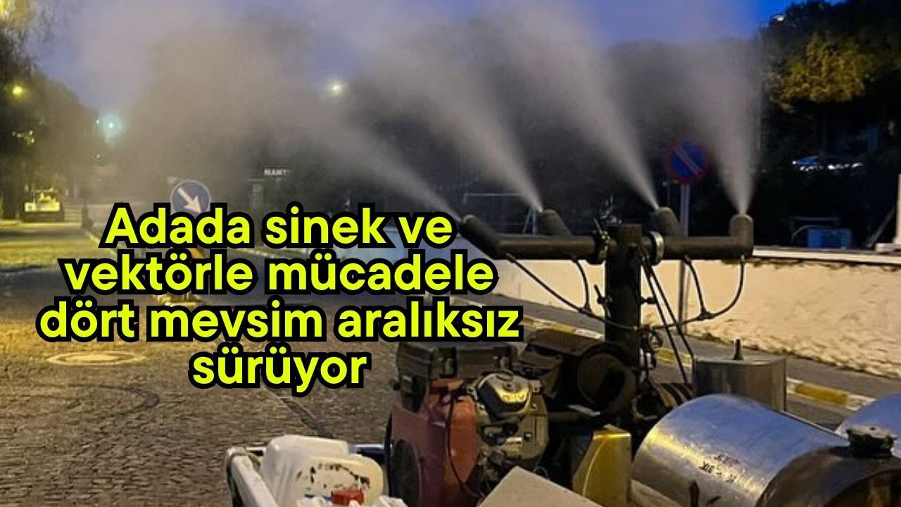 Adada sinek ve vektörle mücadele dört mevsim aralıksız sürüyor